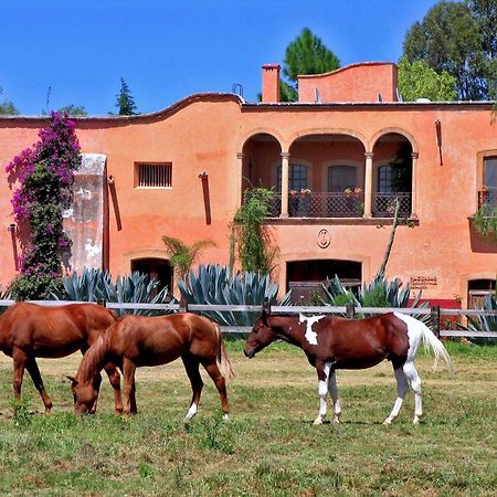 Hacienda Sepulveda Hotel & Spa (Adults Only) Lagos de Moreno Exteriör bild